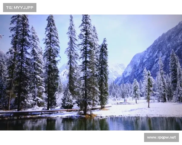 冬日湖畔的静谧世界：雪花轻舞与冰水交织成的诗意画卷